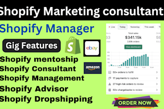 be your shopify dropshipping manager shopify dropshipping marketing consultant
