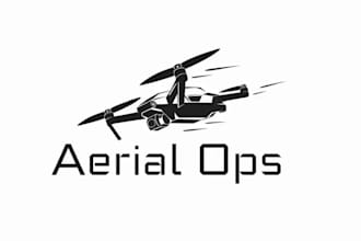 design a logo for drone business and company