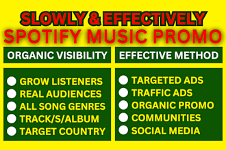 run slow and effective spotify music promotion using google ads