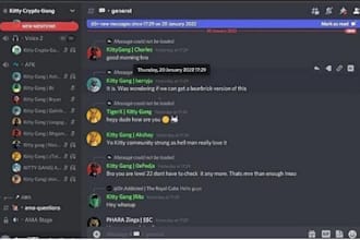 be your telegram community moderator or manager for memecoin discord server