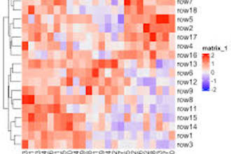 provide custom bioinformatics, genomics, and statistical data visualization