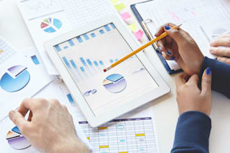 perform data analysis, insights and business reports