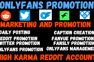 do onlyfans promotion business marketing only fans fanvue management chatter