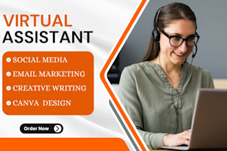 executive virtual assistant, social media virtual assistant, personal VA