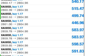 offer automated expert advisor, high roi fx robot, scalping ea, hft bot, fx bot