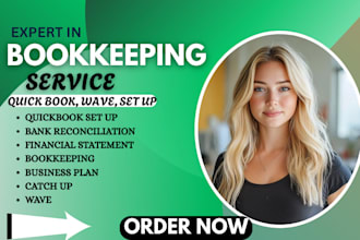 accounting quickbooks online bookkeeping setup catchup, cleanup reconciliation