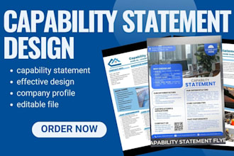 create a professional capability statement for federal government bids