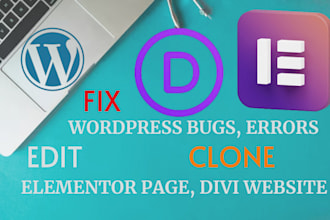 fix wordpress errors, redesign divi website clone elementor page customize theme