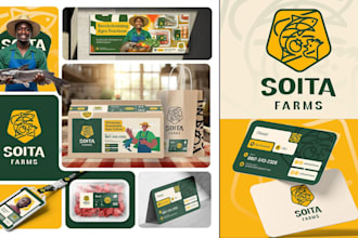 redesign brand logo, vectorize, redraw, fix your brand identity kit guideline