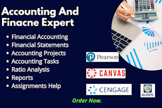 assist you in financial cost magerial accounting and finance project management