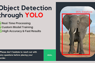 do ai powered yolo object detection and real time solutions