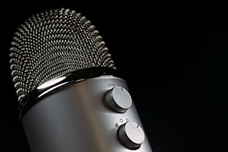 bring your script to life with professional voice acting