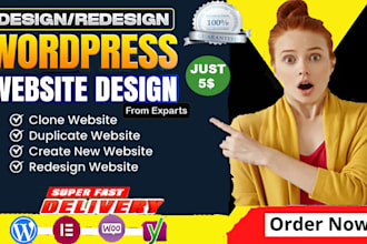 clone develop design modern responsive wordpress website as elementor pro expert