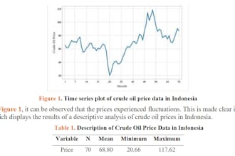do statistical modeling, data analytics, data visualization for your business