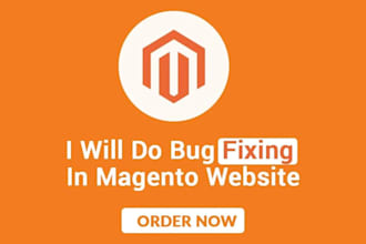 do 1 hour magento bug fix, quick resolution guaranteed