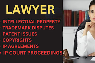 be intellectual property, trademark, patent and copyright infringement lawyer