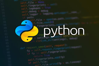 do python programming, assignments, and projects efficiently