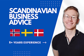 provide experienced scandinavian ecommerce advice