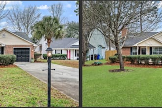 improve the grass or lawn replacement for real estate photos