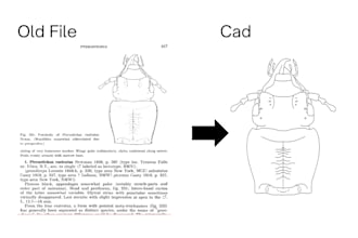 create everything old file into cad
