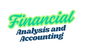 do professional financial reporting, accounting, budgeting and auditing