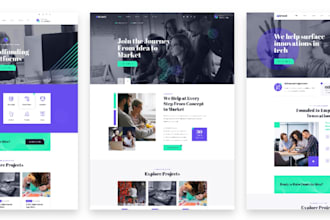 design wordpress microfinance loan website, niche crowdfunding wordpress website