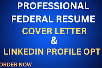craft you a professional federal resume, government resume