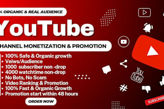 make viral video, youtube organic promotion,add subscribers