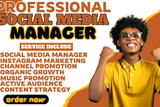 do organic growth instagram marketing social media manager channel promotion