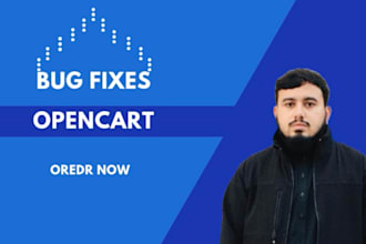 fix and upgrade your opencart store