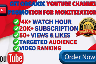 complete channel monetization,youtube video growth organic USA channel promotion