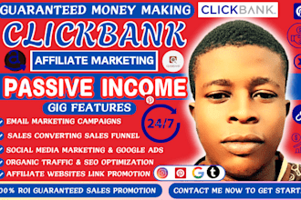 promote clickbank affiliate marketing, amazon websites, digistore24 sales funnel