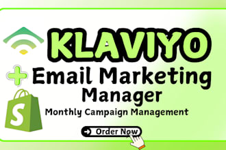 set up email marketing website sales with expert klaviyo sms