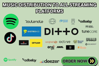 distribute your songs to all digital music streaming platform distrokid spotify