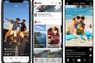 do tiktok app tiktok clone app social chat app live streaming app social media