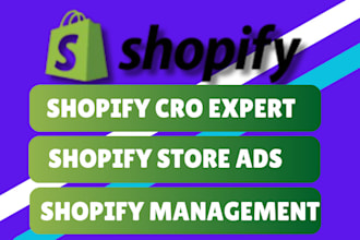 audit shopify marketing space store design cro market performance