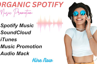 promote your spotify music with effective ads campaign for your spotify track