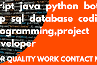 script java python bot c cpp sql database coding programming project developer