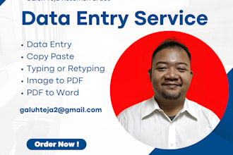 do data entry image to pdf typing or retyping PDF to word or excel