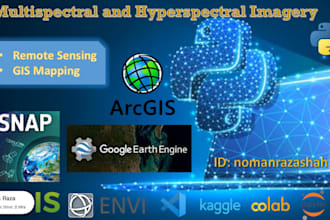 do expert gis mapping, geospatial, and satellite analysis