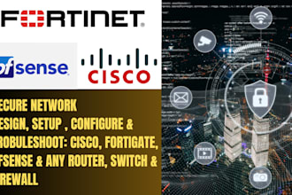 set up secure firewalls, vpns, and network configurations