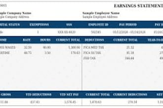 do adp paystubs, salary slip and paychecks for contractors