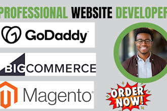 design bigcommerce magneto godaddy website klaviyo landing page