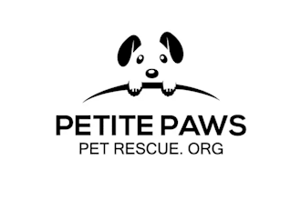 design super attractive pet care service logo for you