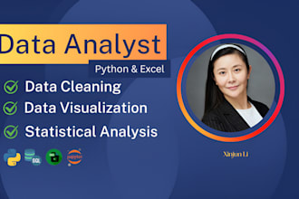clean data, perform statistical analysis, create visualizations python excel