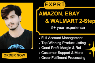 automating your amazon fba wholesale, ebay, and walmart 2step dropshipping