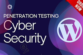 perform penetration testing to secure your website