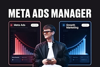 manage facebook ads and meta ads as an ads specialist