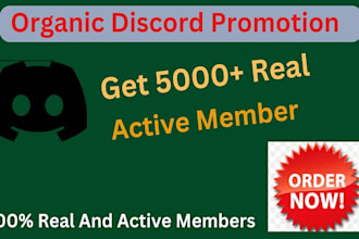 grow and promote your discord server to gain real and active users