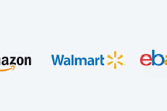 create your walmart, amazon and ebay seller central account and manage as VA